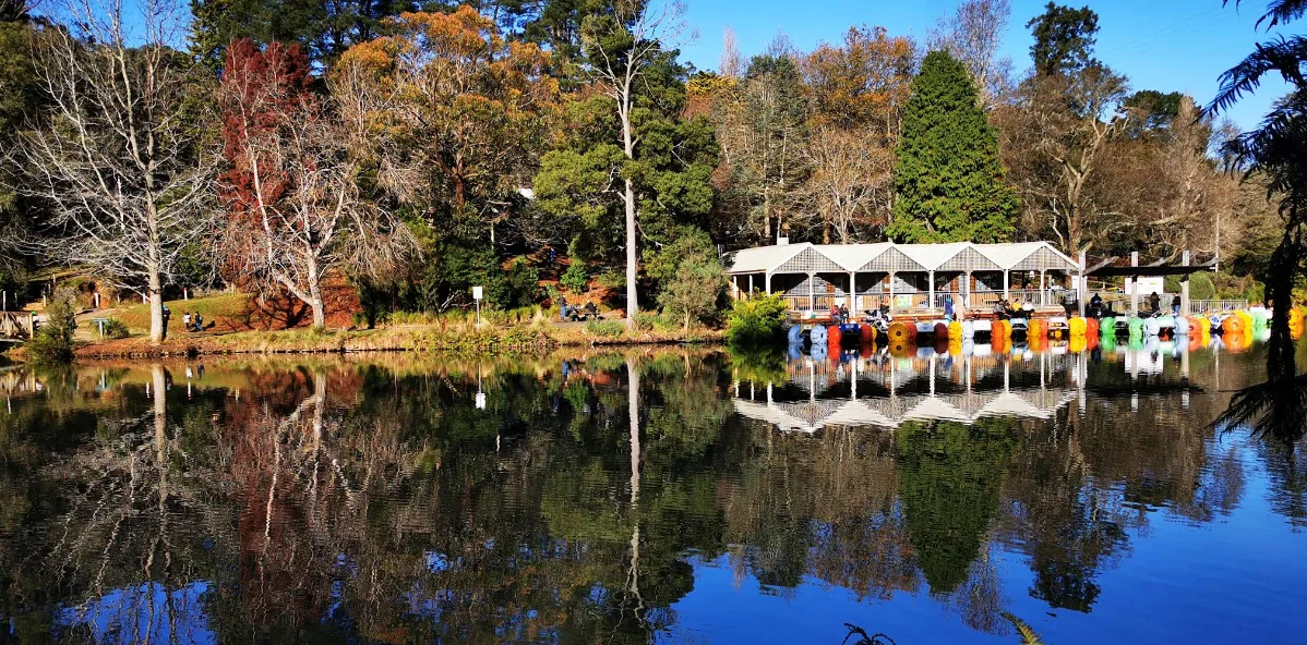 Calm lake reflecting vibrant autumn foliage with a timber shelter pavilion and colourful pedal boats moored along the grassy bank.
